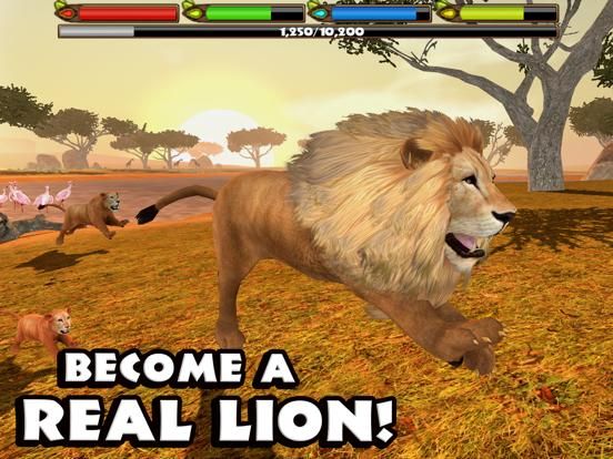 Ultimate Lion Simulator game screenshot