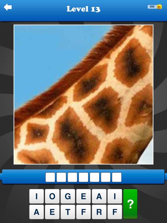 Whats The Close Up?