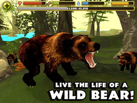Wildlife Simulator: Bear game screenshot