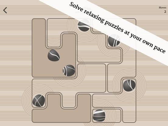 Zen Garden Puzzle