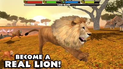 Ultimate Lion Simulator iOS