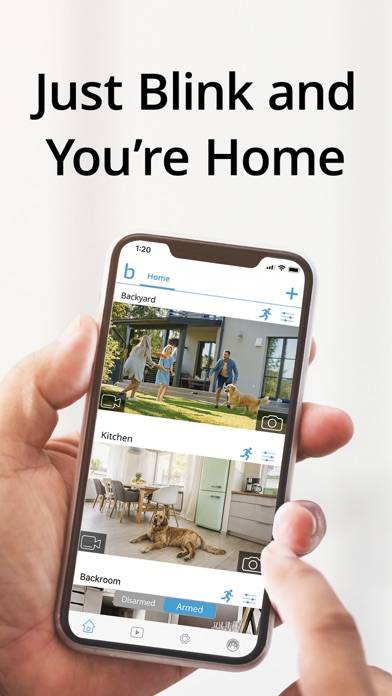 Blink Home Monitor iOS