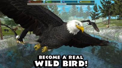 Ultimate Bird Simulator iOS