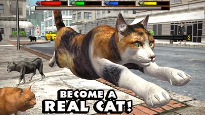 Ultimate Cat Simulator iOS