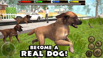 Ultimate Dog Simulator iOS