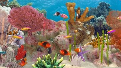 Fish Farm 3 iOS