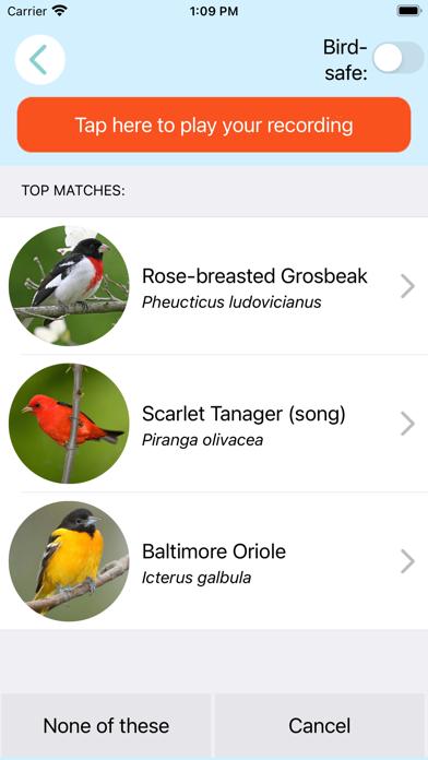 ChirpOMatic USA iOS