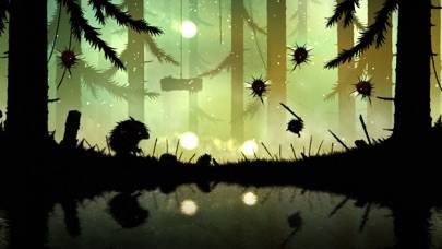 Feist iOS