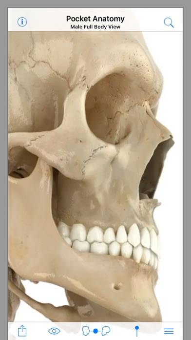Pocket Anatomy (2018) iOS