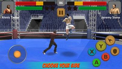 Boxing vs Kung Fu Fighting Sim iOS