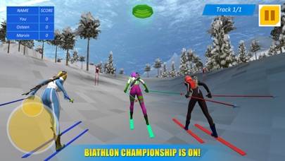 Biathlon Winter Sports 3D iOS
