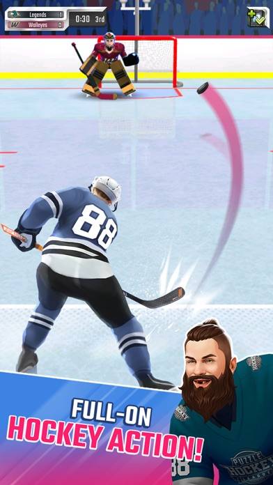 Puzzle Hockey iOS