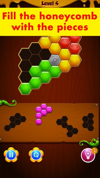 HoneyComb Puzzle iOS
