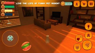 Home Guinea Pig Life Sim 3D iOS