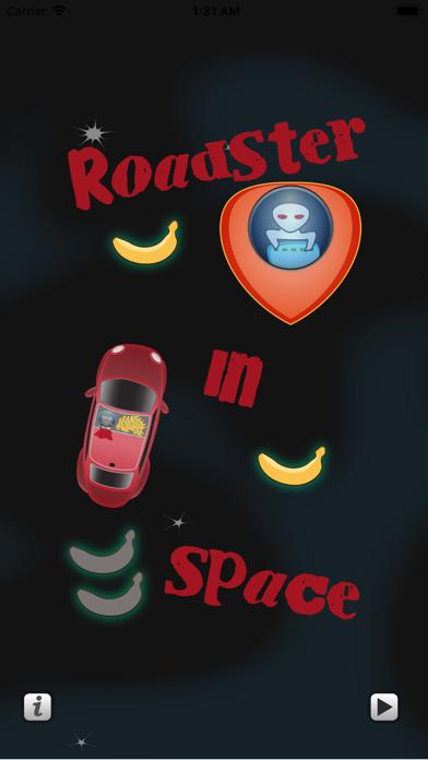 Roadster In Space iOS