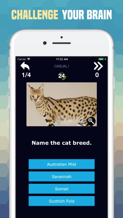 Cats Trivia iOS