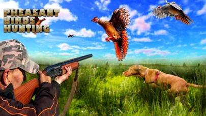 Pheasant Bird Hunting 3d iOS