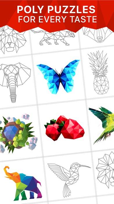 Puzzle by Number Now iOS
