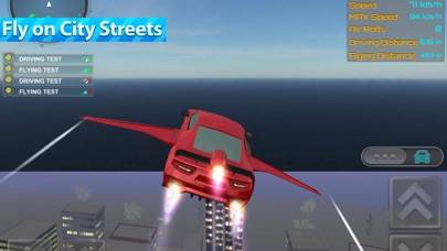 Flying Sports Car Driver iOS