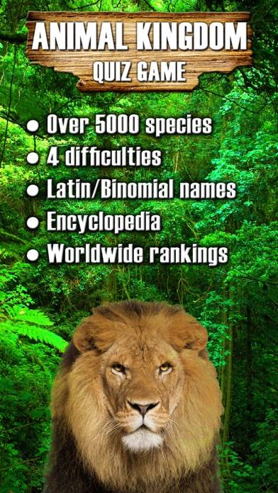 Animal Kingdom iOS