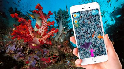 Aquarium for real fish iOS