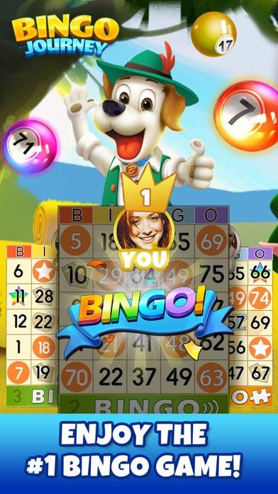 Bingoscapes iOS