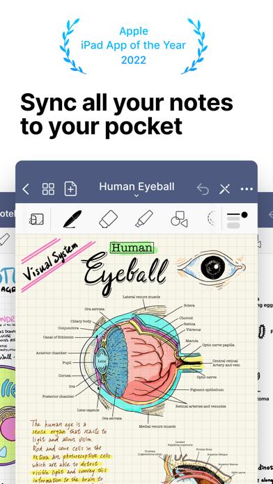 GoodNotes 5 iOS