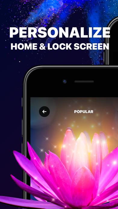 Live Wallpapers, Pic & Themes iOS