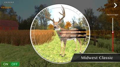 Accubow 2019 iOS