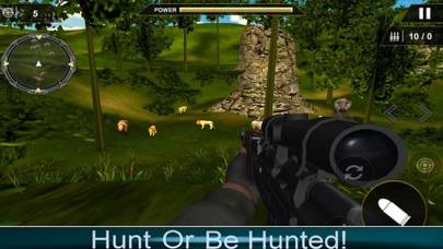 Wild Jungle Hungting 2019 iOS