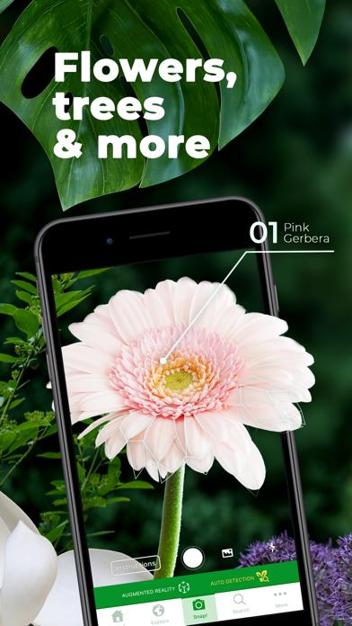 PlantSnap Plant Identification iOS
