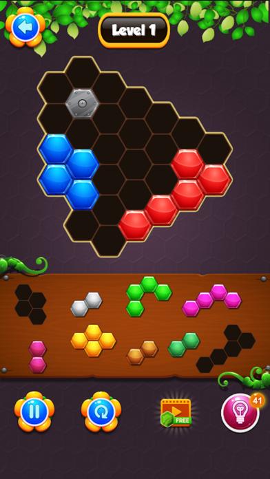 Block Hexa Puzzle Hex Puzzle iOS