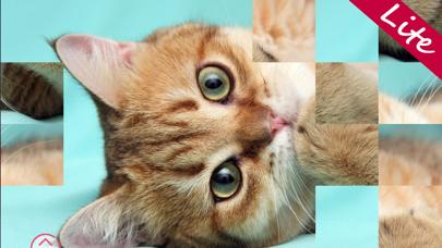 Kittens Lite iOS