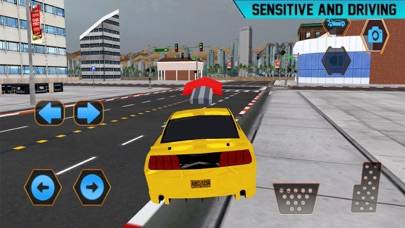 Real Parking Master iOS