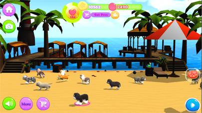 Kitty And Puppy Running iOS