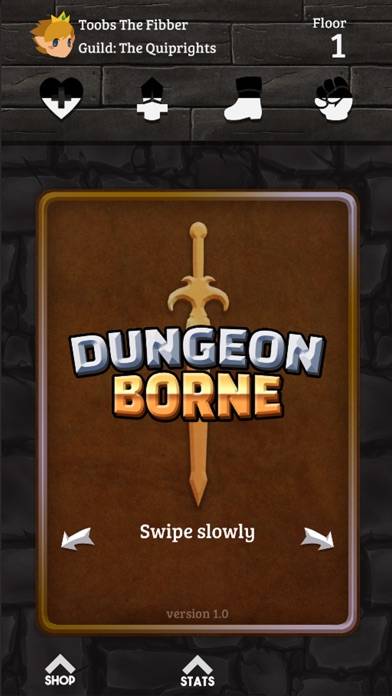 Dungeonborne iOS