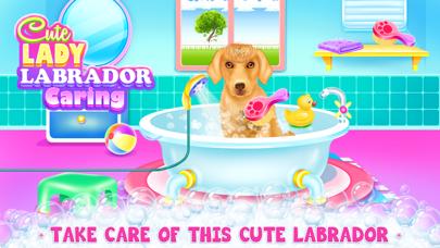 Lady Labrador Caring iOS