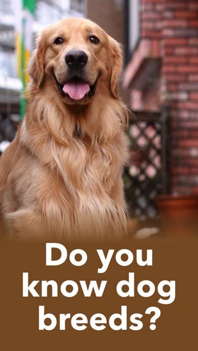 Dog breeds Guess the Dogs Quiz iOS