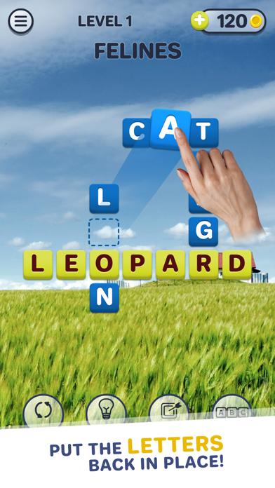 Another Word iOS