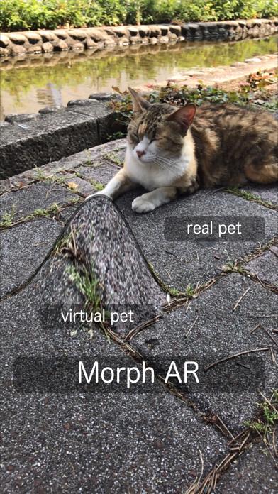 Morph AR iOS