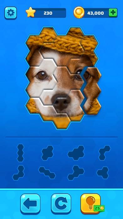 Hexa Jigsaw Puzzle™ iOS
