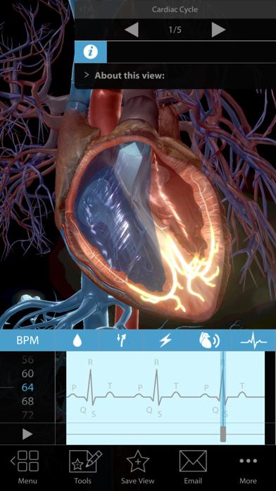 Physiology & Pathology iOS