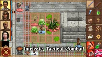 Queen's Wish: The Conqueror iOS