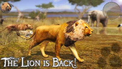 Ultimate Lion Simulator 2 iOS