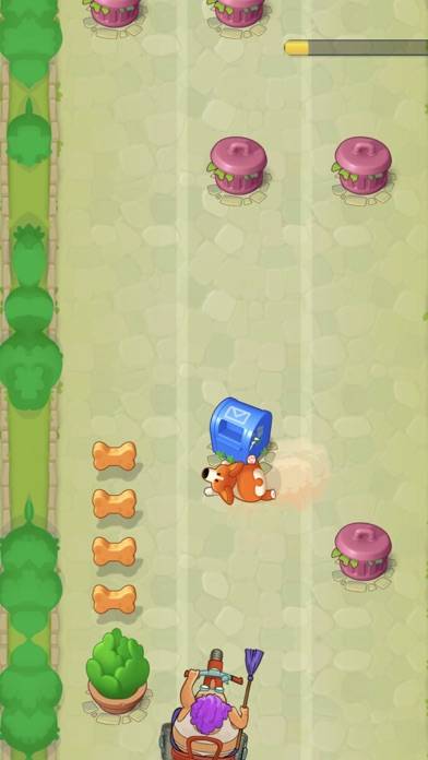 Run Corgi Run iOS