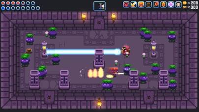 Knightin' plus iOS