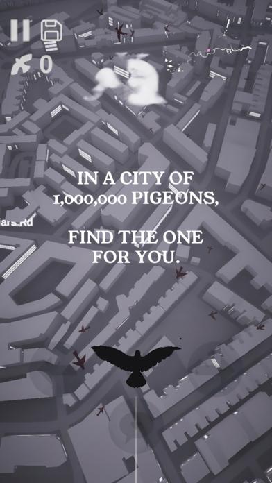 Pigeon: A Love Story iOS