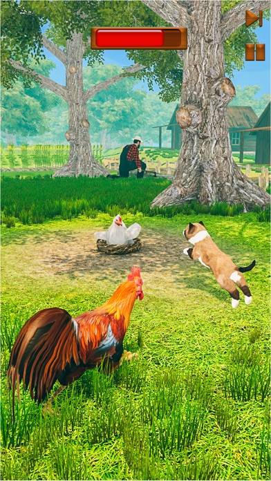 Farm Chicken iOS
