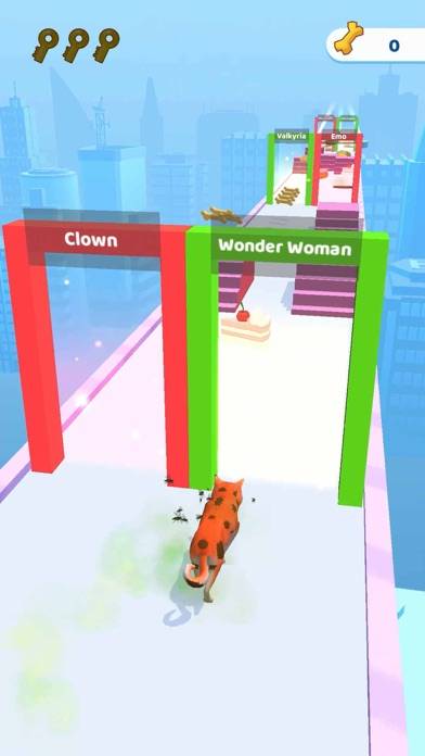 Groomer run 3D iOS