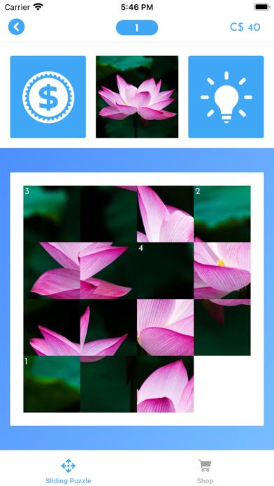 Word Search & Puzzles iOS